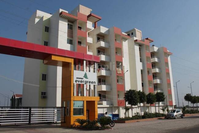 Soumya Evergreen-EWS – Elevation Image