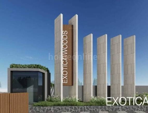 EXOTICA WOODS – Elevation Image