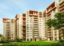 4 BHK Apartment in Kalpataru Grandeur, New Palasiya