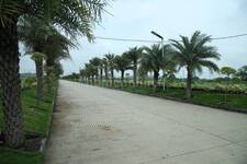 Godha Estate Premium in Super Corridor, Indore