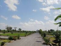 Residential Plot in MK Maruti Vihar Phase 2, Naya Raipur