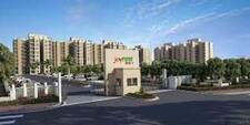 2 BHK Flat for rent in Sushma Joynest MOH-1, Zirakpur