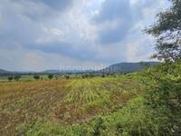 Agricultural Land in Super Corridor