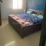 1 BHK Flat in Chandkheda