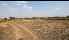 Agricultural Land in Tilda Road