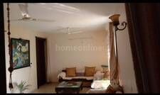 3 BHK Flat for rent in Hoshangabad Road