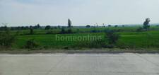 Commercial Land in Mandideep