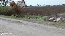 Agricultural Land in Panchderia