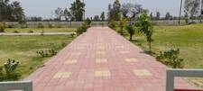 Residential Plot in Dewas Naka