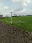 Agricultural Land in Ujjain Road