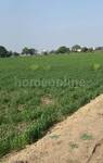 Agricultural Land in Soumya Evergreen, Kolar Road