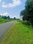 Agricultural Land in Gol Khedi