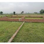 Residential Plot in Phulwari Sharif