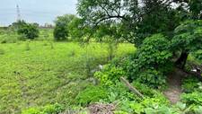 Commercial Land in Guma