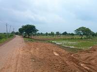 Residential Plot in Amleshwar