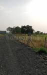 Agricultural Land in Khandwa Road