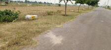 Residential Plot in Ansal Jkd Pearl Florence Township, Diggi Malpura Road