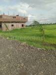 Agricultural Land in Baroli Square