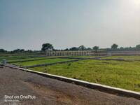 Residential Plot in MK Maruti Vihar Phase 2, Naya Raipur