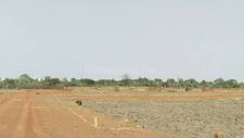 Residential Plot in Amleshwar