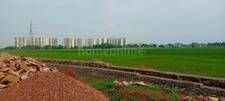 Residential Plot in Borkhera