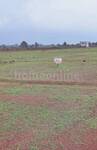 Residential Plot in Bhilai