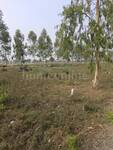 Residential Plot in Pirda Raipur