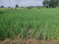 Agricultural Land in Kolar Road