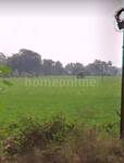 Agricultural Land in AB Bypass Road