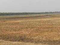 Agricultural Land in Mandideep