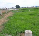 Residential Plot in Phulwari Sharif