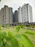 3 BHK Flat in Pipla