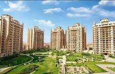 3 BHK Apartment in Sector 121