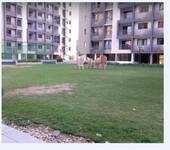 3 BHK Apartment in South Bopal