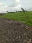 Agricultural Land in Ujjain Road