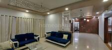 3 BHK Apartment in Pacifica Green Acres, Prahlad Nagar
