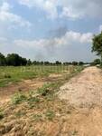 Residential Plot in Mahapura ajmer road