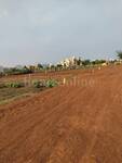 Residential Plot in Mahadev Vatika, Amleshwar