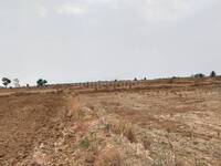 Agricultural Land in Naya Raipur