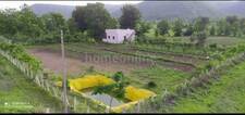 Agricultural Land in Khandwa Road