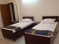 3 BHK Apartment for rent in Sector 37