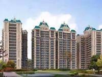 3 BHK Apartment in Aerocity