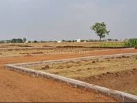 Residential Plot in Naya Raipur