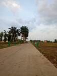 Residential Plot in Ayodhya Bypass Road