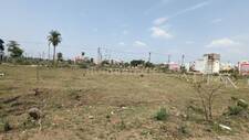 Commercial Land in Salaiya