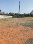 Residential Plot in Amaltas Phase -3, Chuna Bhatti