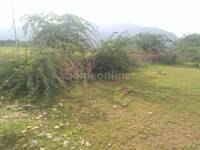 Residential Plot in Somalpur Road