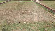 Residential Plot in Naubatpur