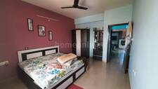 2 BHK Apartment for rent in Nipania