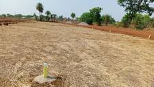 Residential Plot in Naya Raipur-Arang Road